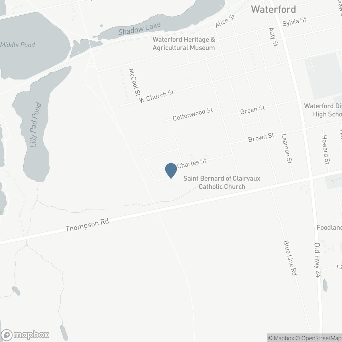 254 CHARLES Street, Waterford, Ontario N0E 1Y0